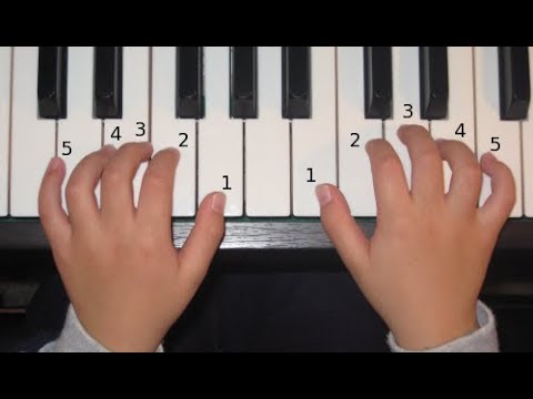 vị trí đặt ngón tay đúng cách lúc học đàn piano